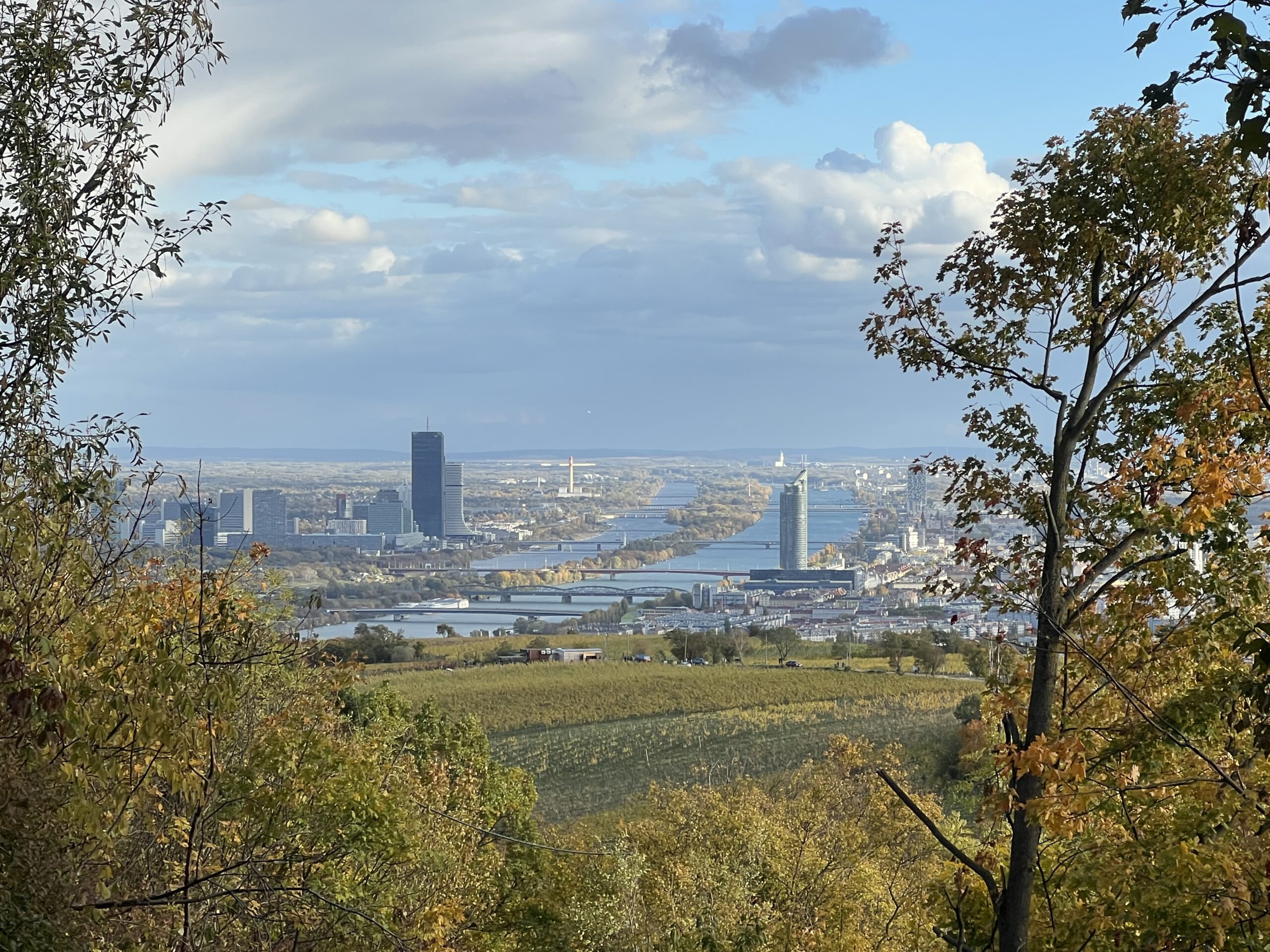 Panoramablick vom Weinberg auf Wien mit Donau, Brücken und Donau City